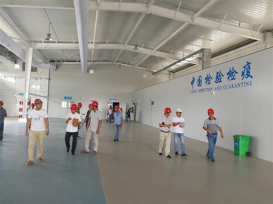 �������ǲ���(�й���½) - �ٷ���վ