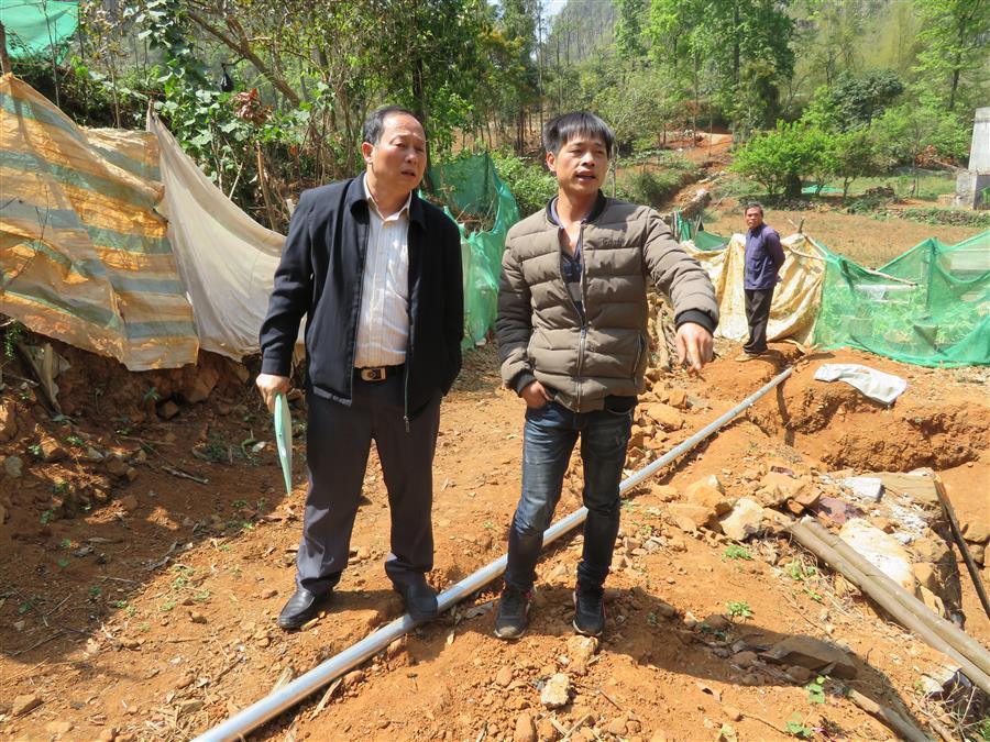 �������ǲ���(�й���½) - �ٷ���վ