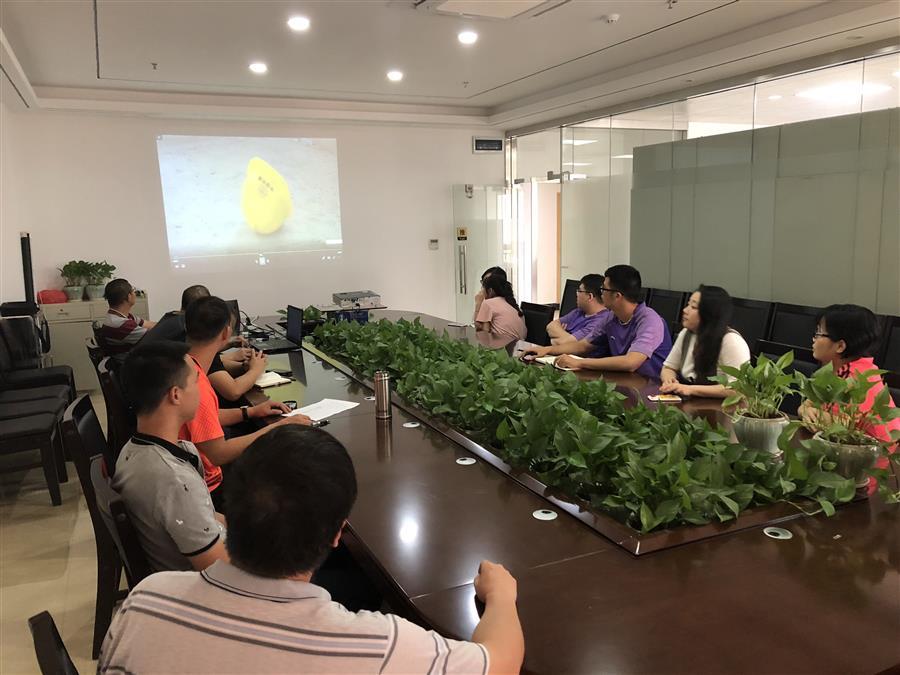 �������ǲ���(�й���½) - �ٷ���վ