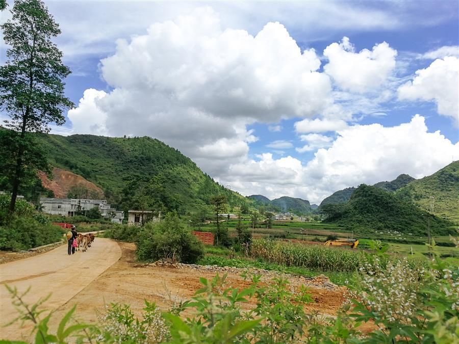 �������ǲ���(�й���½) - �ٷ���վ