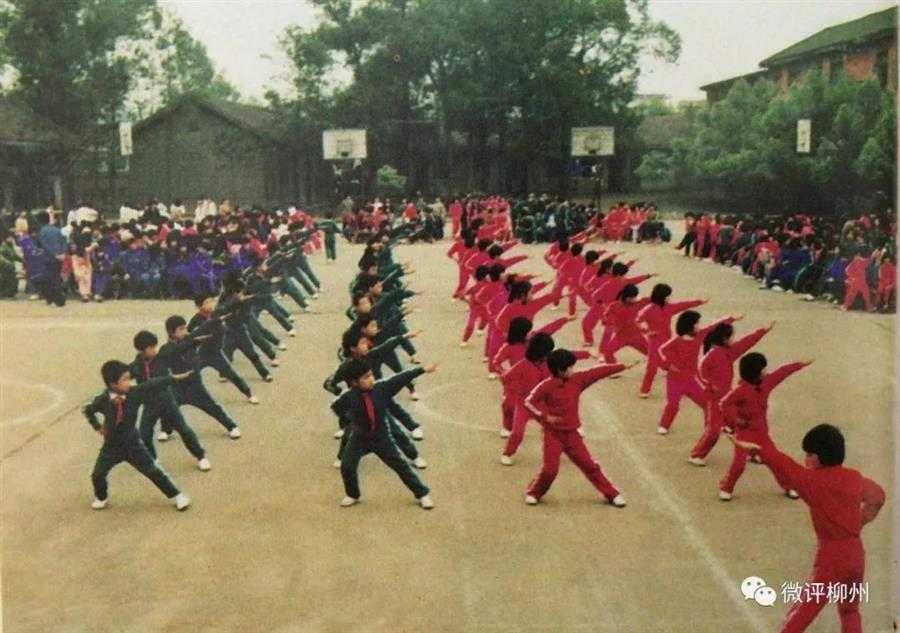 �������ǲ���(�й���½) - �ٷ���վ