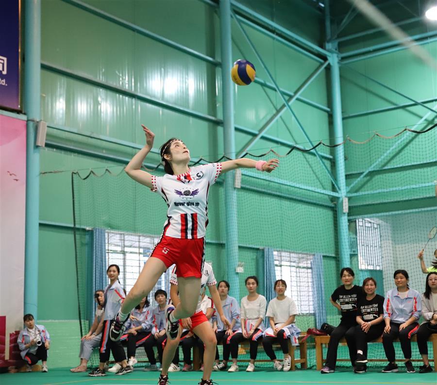 �������ǲ���(�й���½) - �ٷ���վ