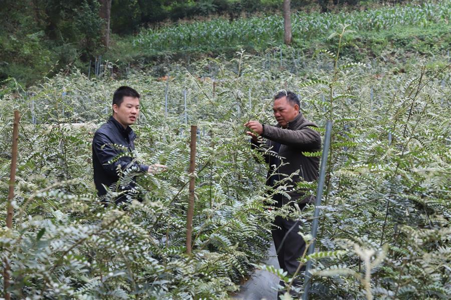 �������ǲ���(�й���½) - �ٷ���վ