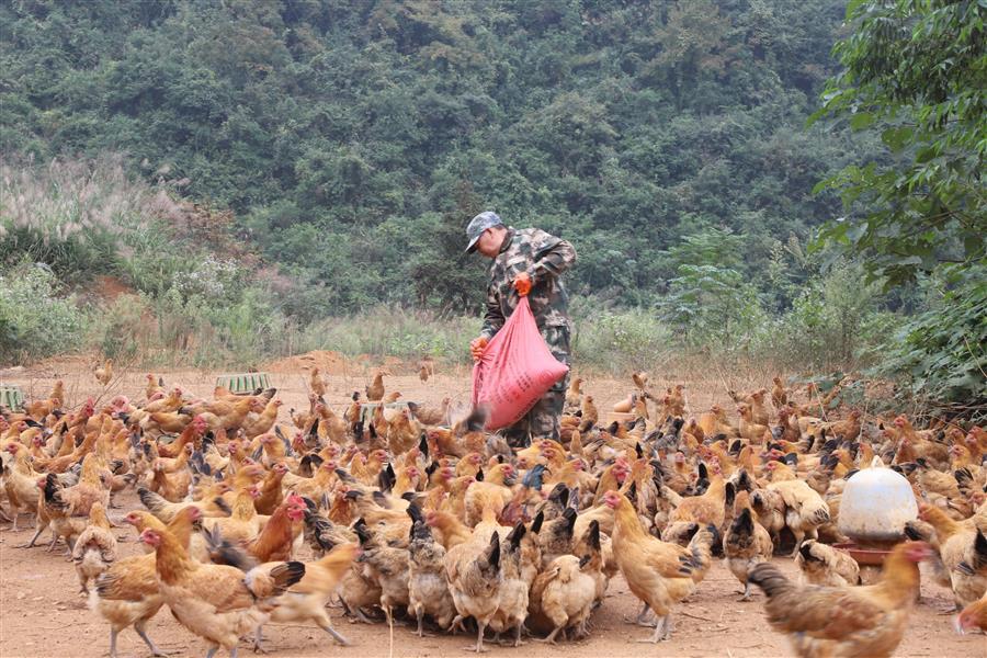 �������ǲ���(�й���½) - �ٷ���վ