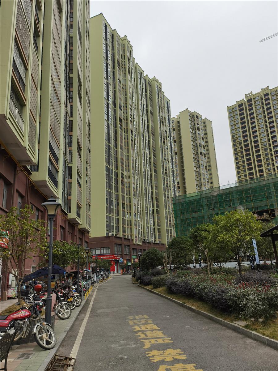 �������ǲ���(�й���½) - �ٷ���վ