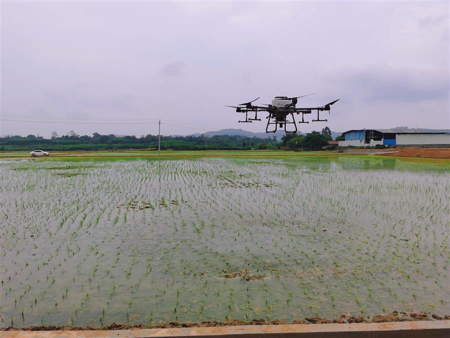 �������ǲ���(�й���½) - �ٷ���վ