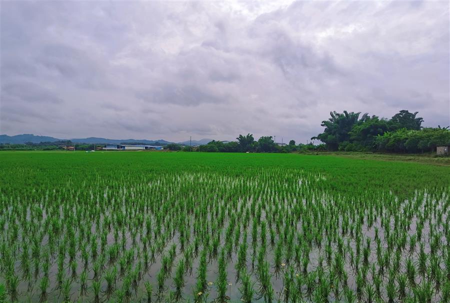 �������ǲ���(�й���½) - �ٷ���վ