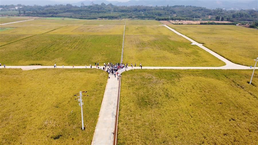 �������ǲ���(�й���½) - �ٷ���վ