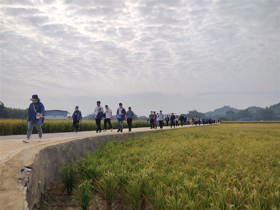 �������ǲ���(�й���½) - �ٷ���վ