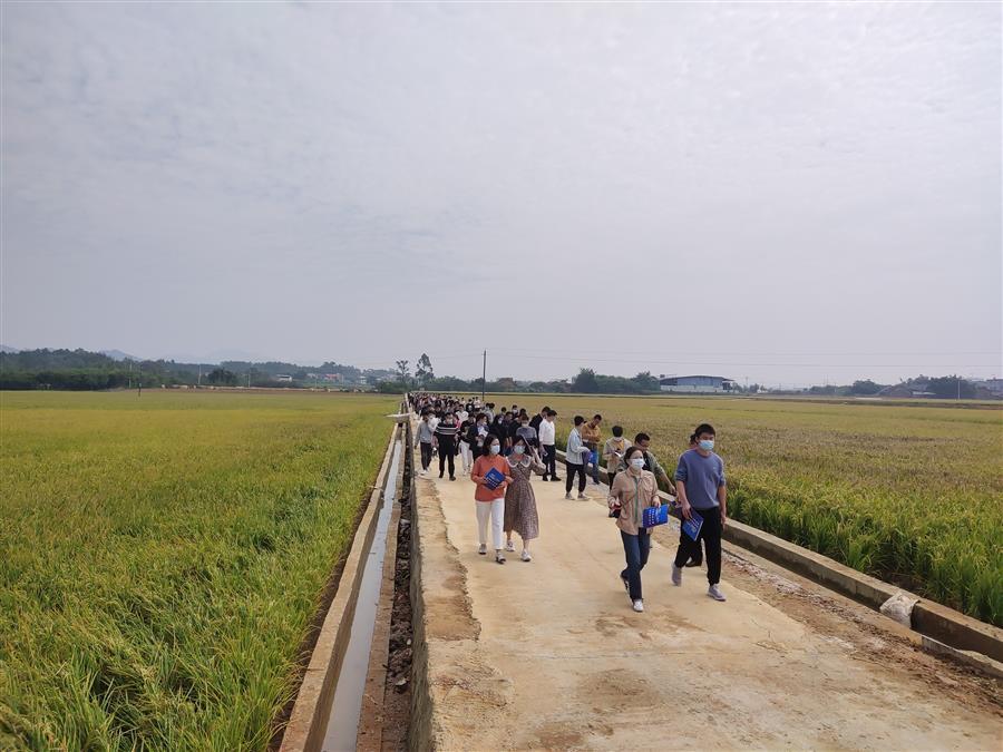 �������ǲ���(�й���½) - �ٷ���վ