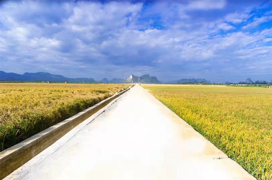 �������ǲ���(�й���½) - �ٷ���վ