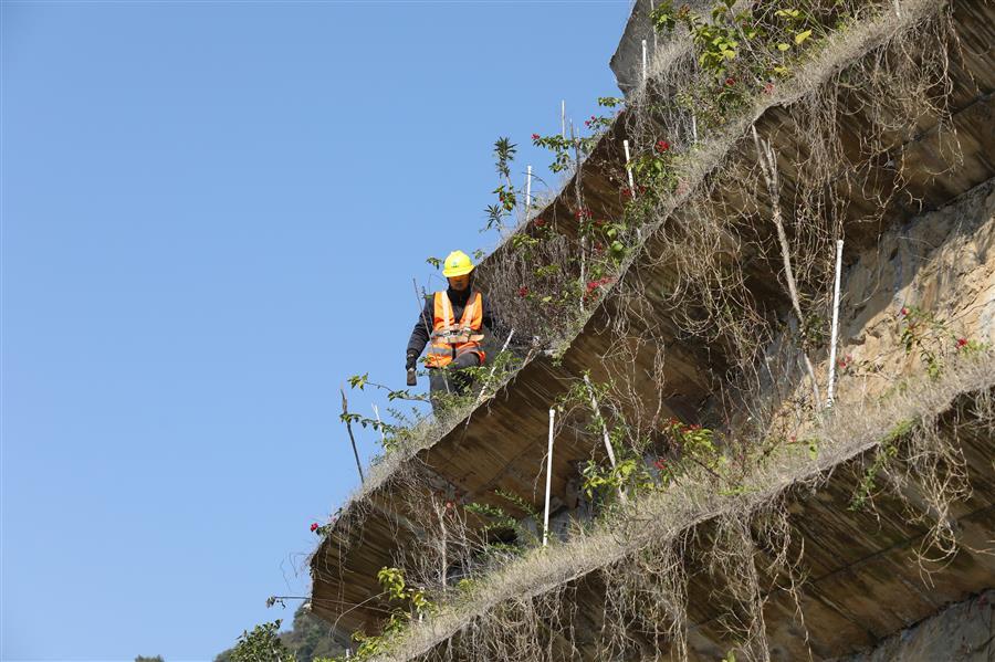 �������ǲ���(�й���½) - �ٷ���վ