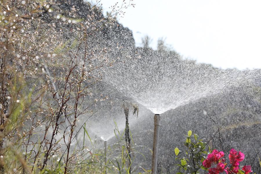 �������ǲ���(�й���½) - �ٷ���վ