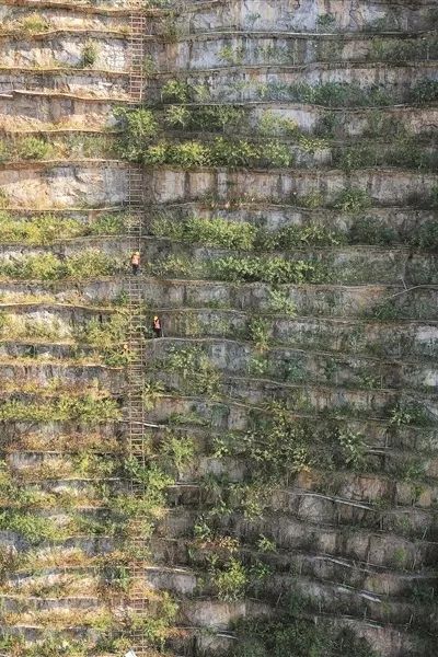 �������ǲ���(�й���½) - �ٷ���վ