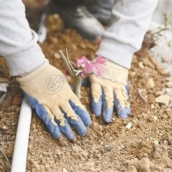 人生就是博·(中国大陆) - 官方网站