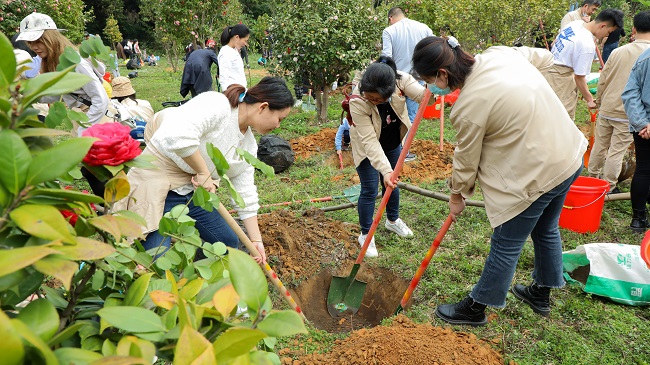 �������ǲ���(�й���½) - �ٷ���վ