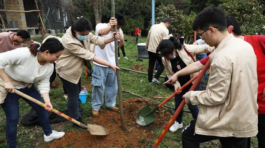 �������ǲ���(�й���½) - �ٷ���վ