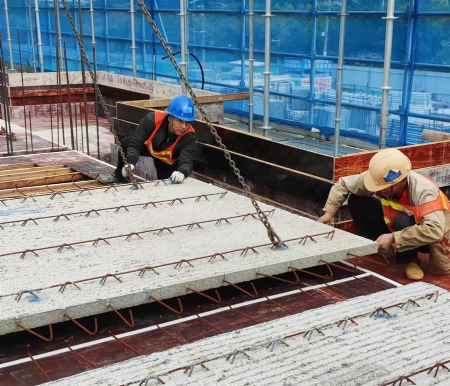 �������ǲ���(�й���½) - �ٷ���վ