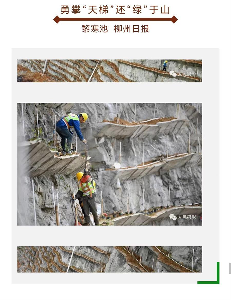 �������ǲ���(�й���½) - �ٷ���վ