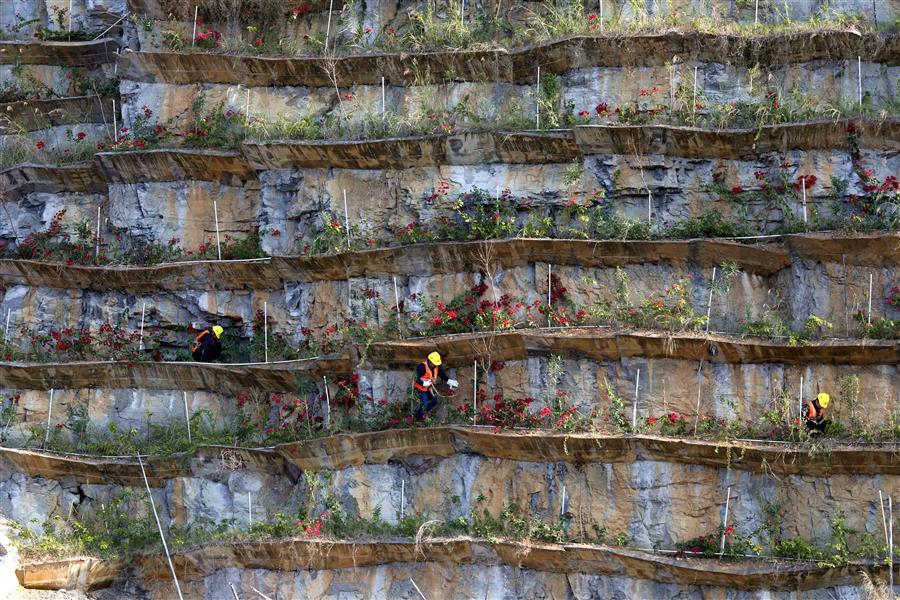 �������ǲ���(�й���½) - �ٷ���վ