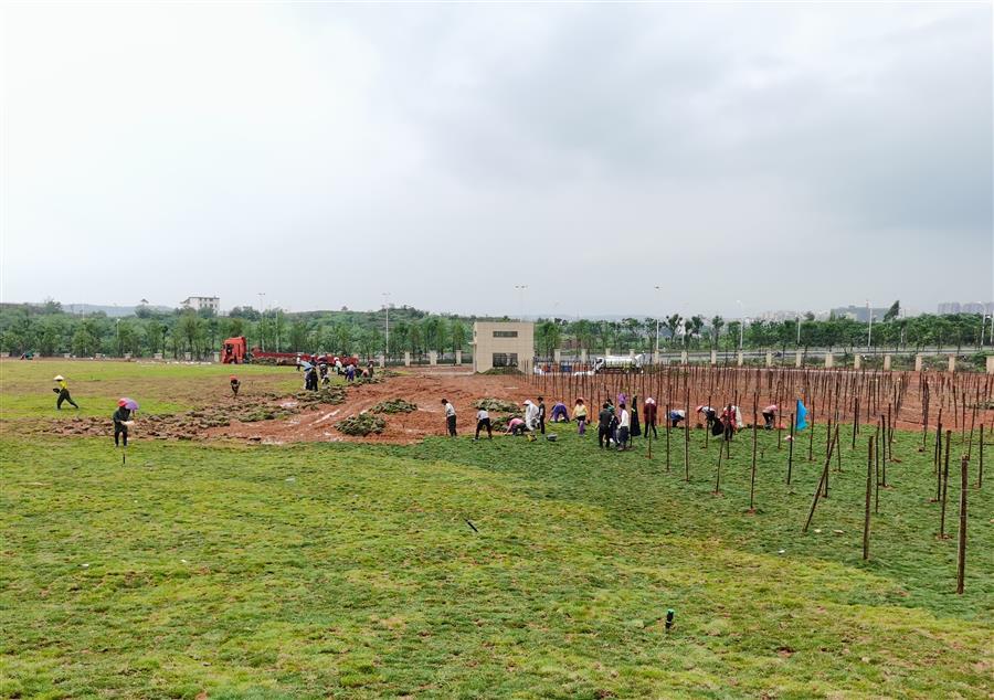 �������ǲ���(�й���½) - �ٷ���վ