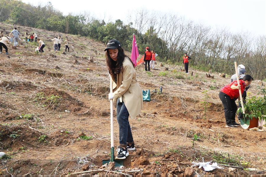 �������ǲ���(�й���½) - �ٷ���վ