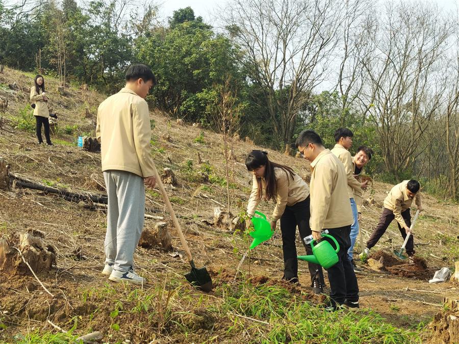 �������ǲ���(�й���½) - �ٷ���վ