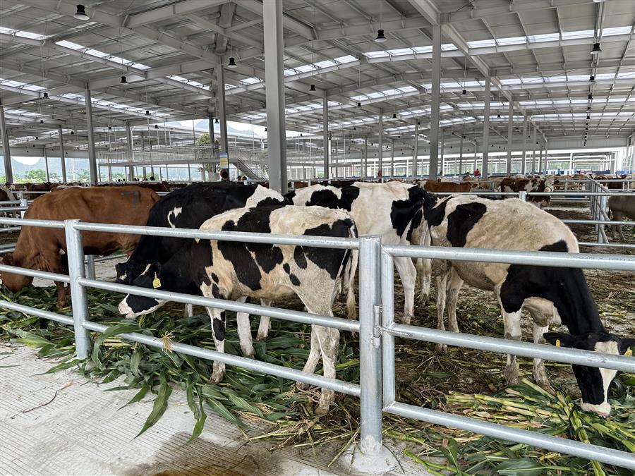 人生就是博·(中国大陆) - 官方网站