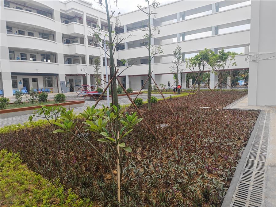 �������ǲ���(�й���½) - �ٷ���վ