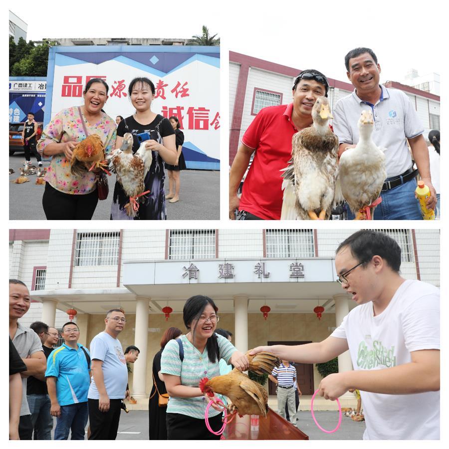 �������ǲ���(�й���½) - �ٷ���վ