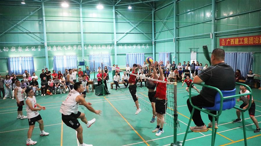 �������ǲ���(�й���½) - �ٷ���վ