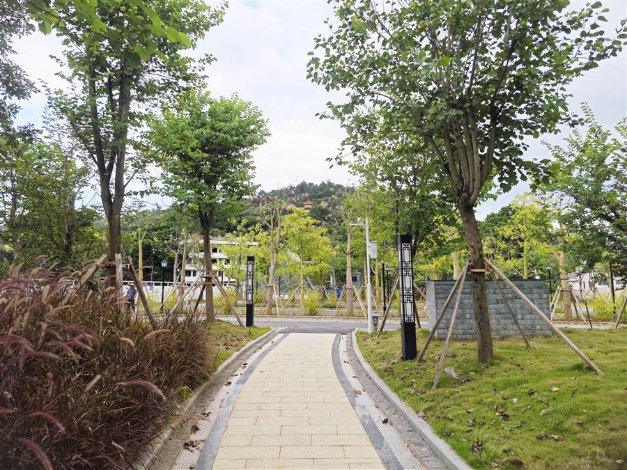 �������ǲ���(�й���½) - �ٷ���վ