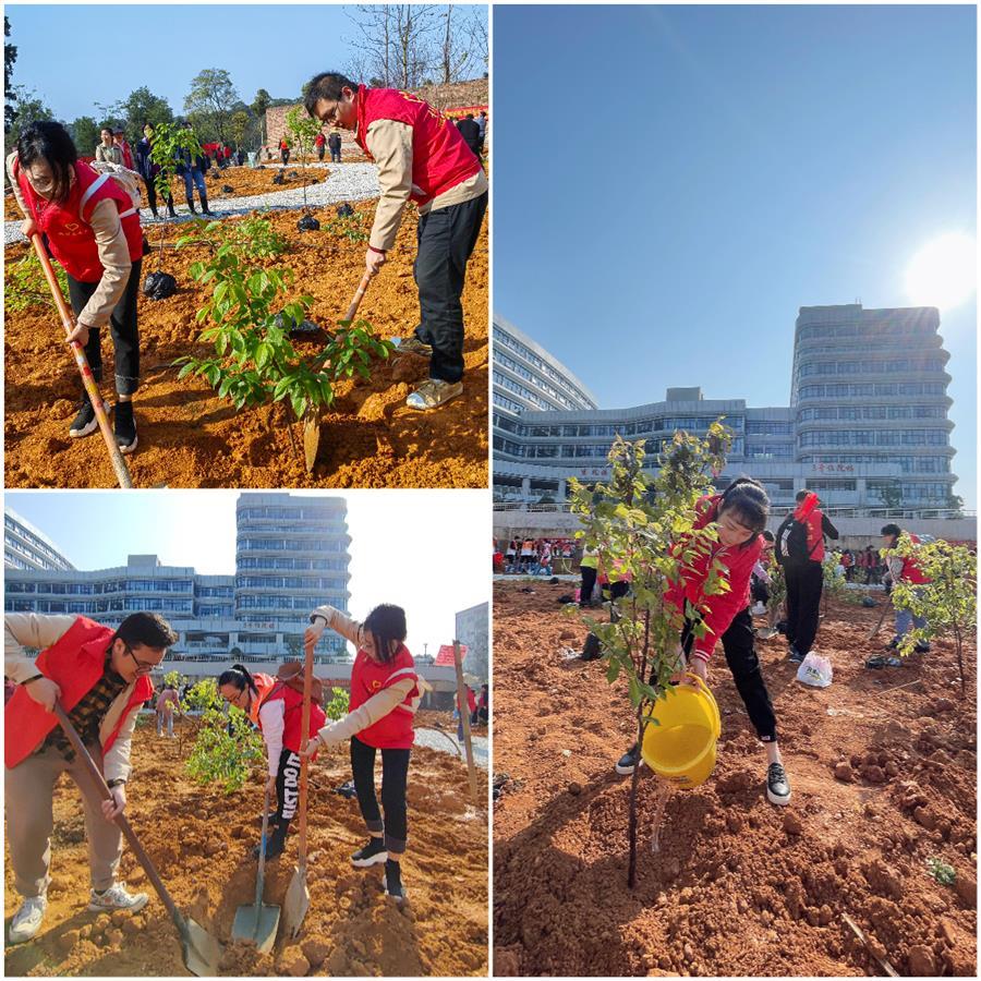 �������ǲ���(�й���½) - �ٷ���վ