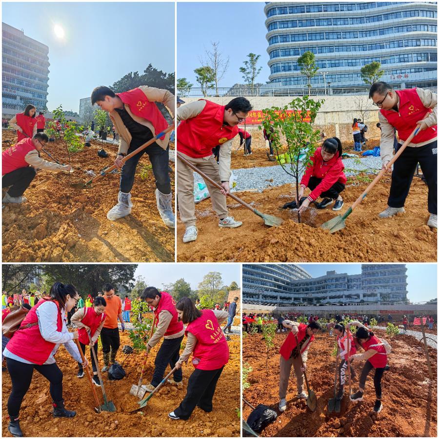 �������ǲ���(�й���½) - �ٷ���վ