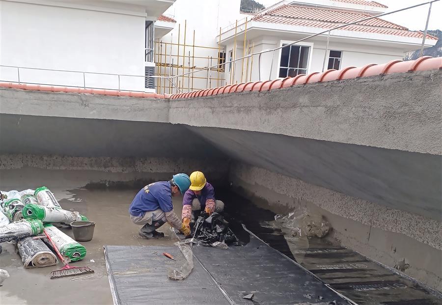 �������ǲ���(�й���½) - �ٷ���վ