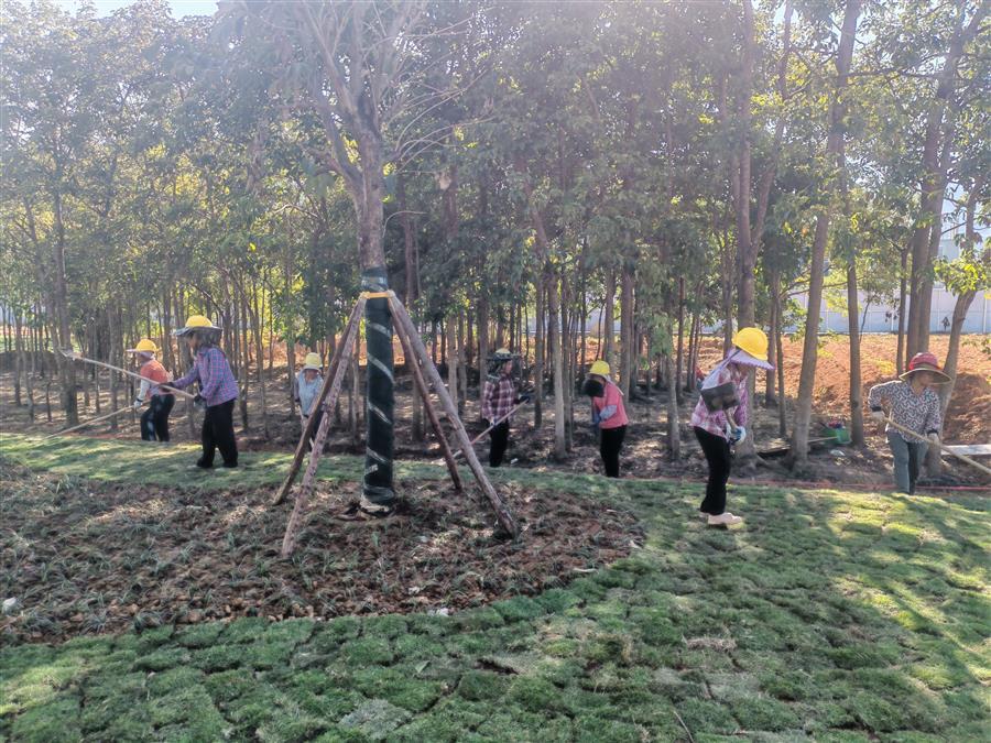 �������ǲ���(�й���½) - �ٷ���վ