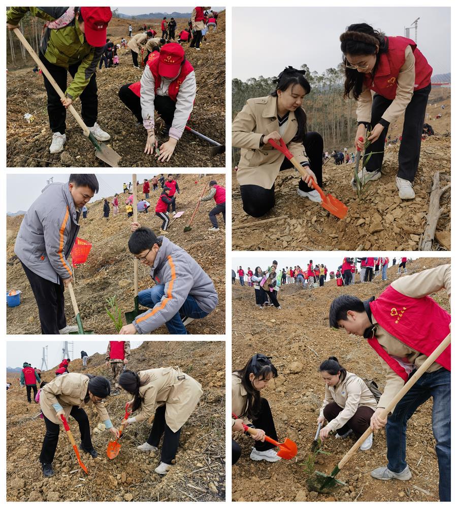 �������ǲ���(�й���½) - �ٷ���վ