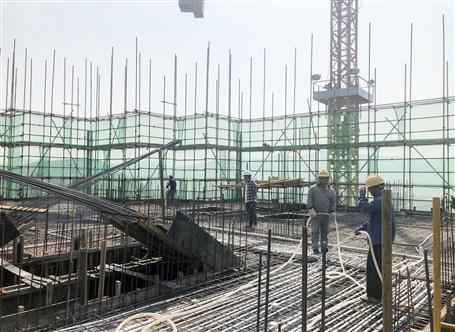 ʮһ�����������ǹ�������������Ӱ��