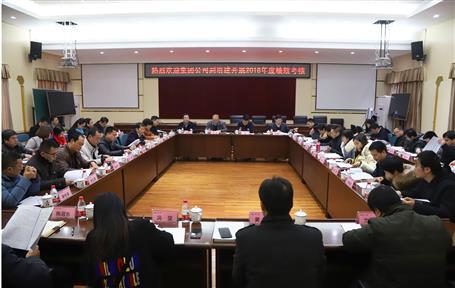 ���Ź�˾�����鵽��˾����2018����ۺ�������Ч����