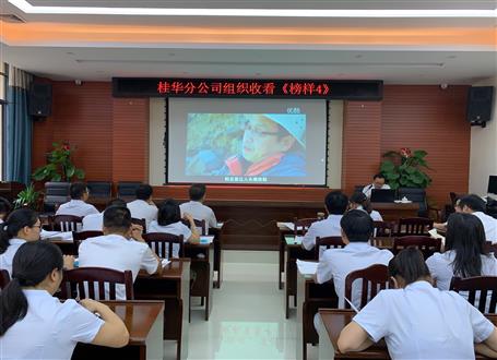 ����ģ��4��ר��  ��ģ��������