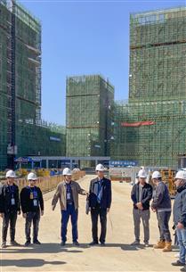 �����ʶӵ���Ŀ��չ���ļ����������������ۺϴ���