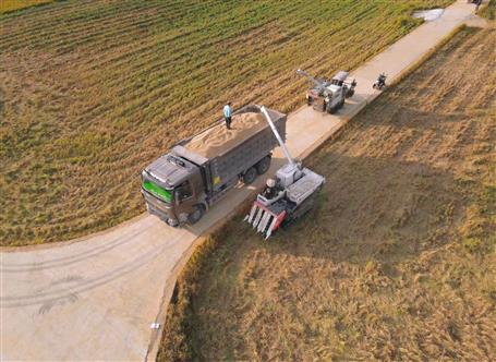 ʯ��ƺ������ˮ����Ŀ�����ո�æ