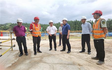 ���������ֹ�˾��Ŀ����ָ��