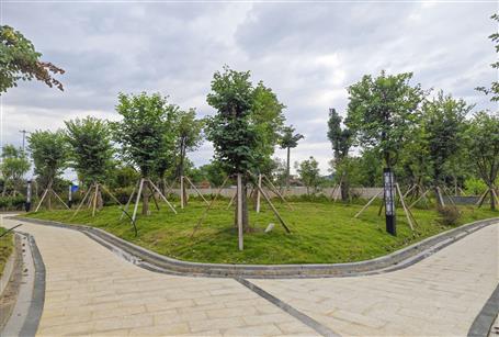 �������������� �����Ѽ������Ž�ɭ�ֹ�԰ͣ������Ŀͨ����������